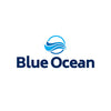 BLUE OCEAN ECOM LLC 's roots